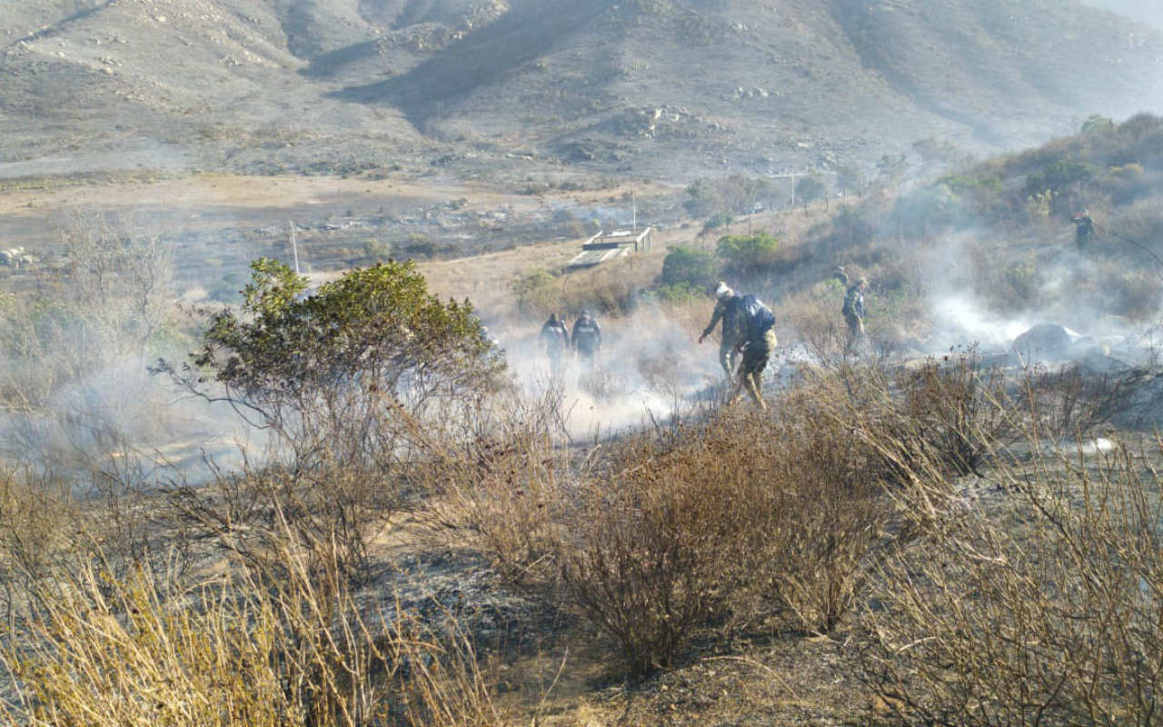 Protección Civil continúa actuando contra los incendios en Baja California | Foto: @CNPC_MX