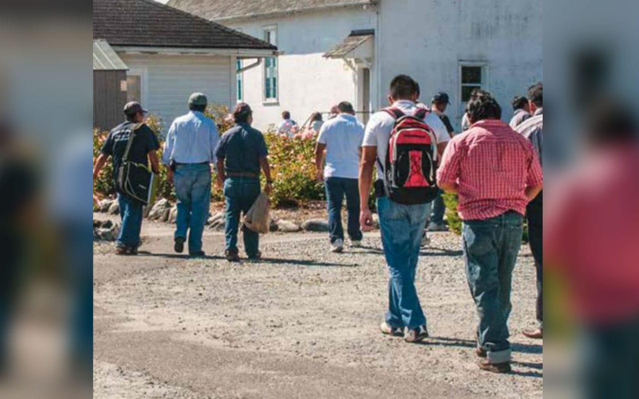 Muchas veces, los trabajadores migrantes en México no reclaman sus derechos porque están "de paso" en el país. | Foto: @DignidadMigrante.