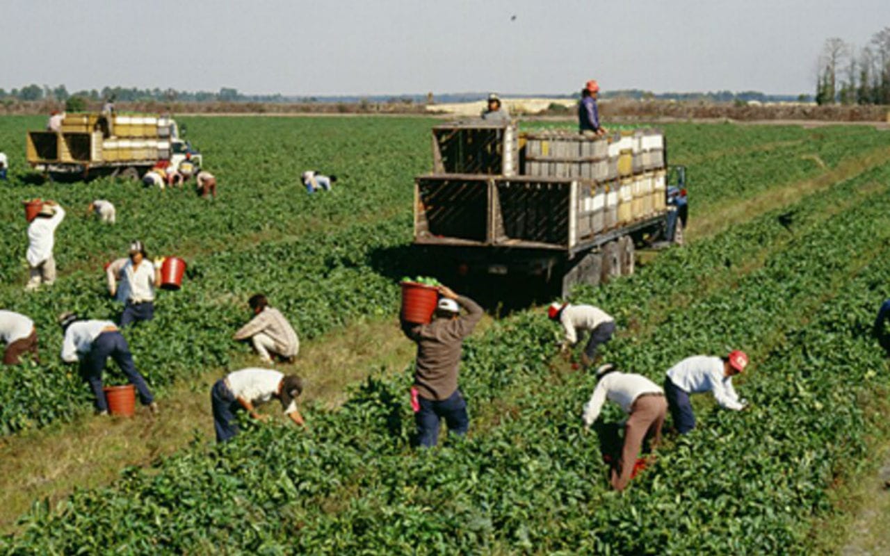 Recuerda que tienes derechos laborales sin importar tu estatus migratorio. ¡Hazlos valer! | Foto: Voz de América.