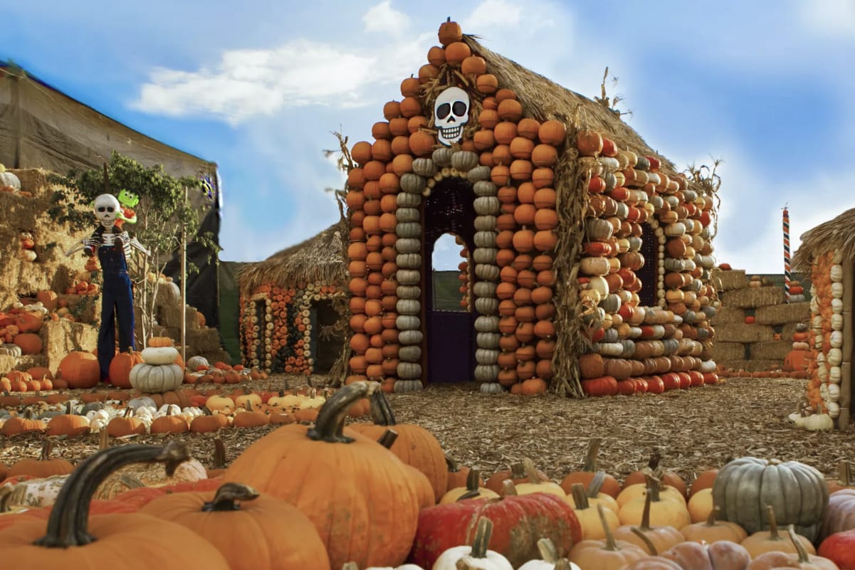 Celebra Halloween en Mr. Bones Pumpkin Patch.