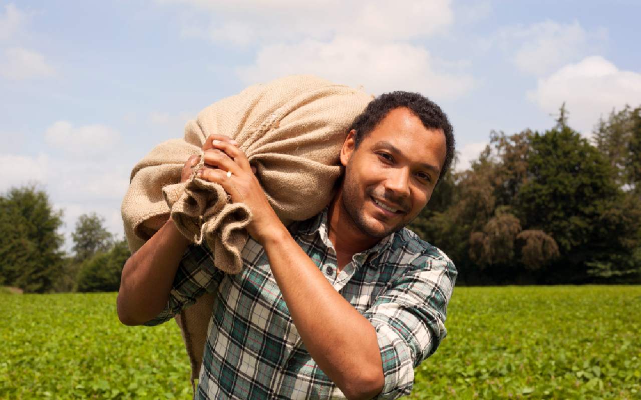 Las personas que tienen una visa tipo H-2A pueden tener trabajos agrícolas. | Foto: Depositphotos